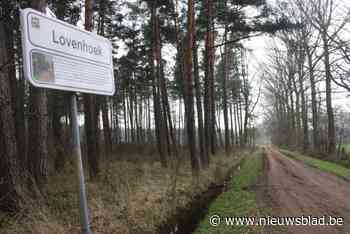 Werken in het natuurreservaat Krabbels Lovenhoek: Sommige wandelpaden afgesloten