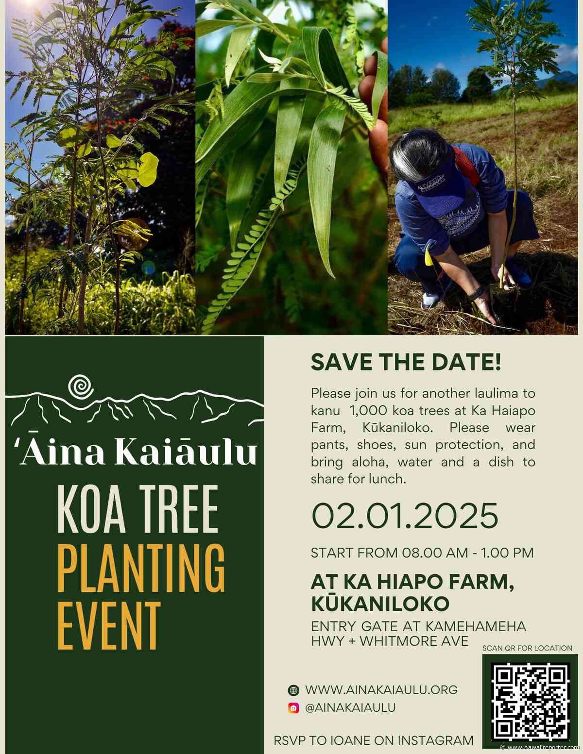 Join Us for a Community Koa Tree Planting Event! 🌱