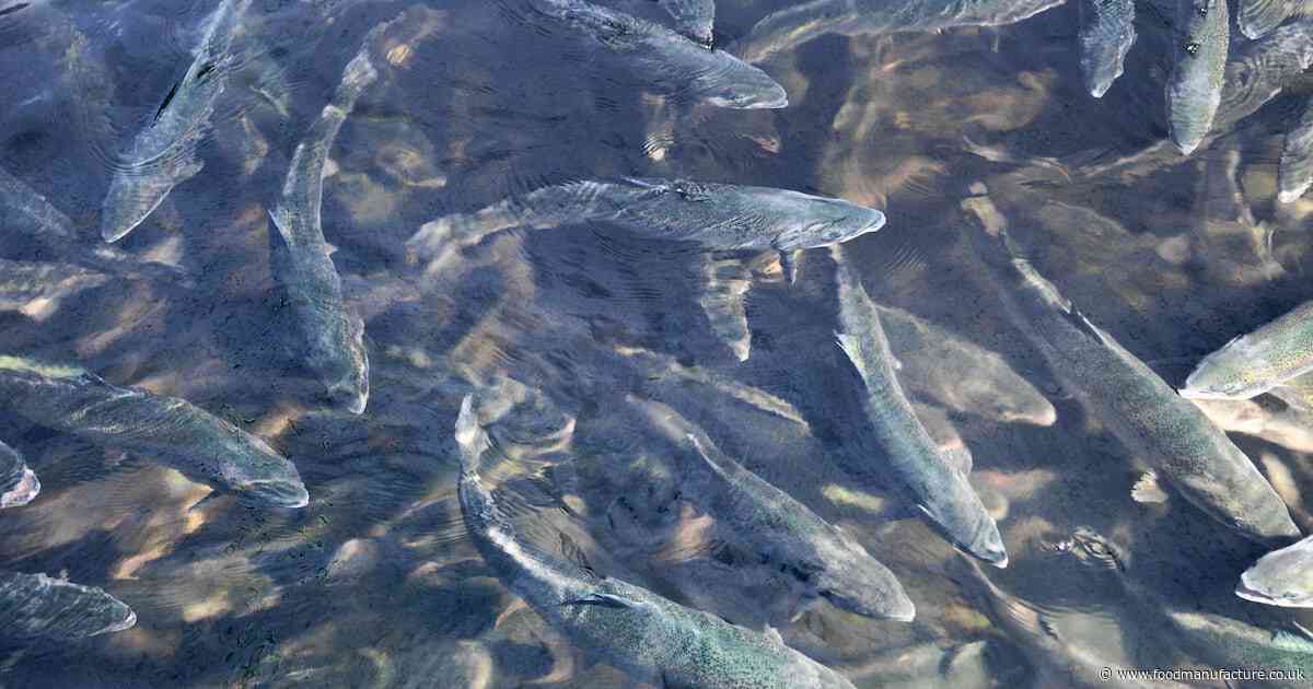 Farmed fish welfare put on the agenda in Scotland