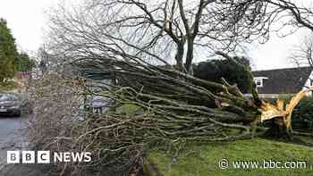 Amber and yellow alerts for wind and snow