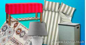 I'm a shopping writer and these are my payday picks from Dunelm's new collection