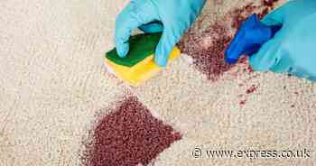 Stop using carpet cleaners to remove any stains when 1 natural item works in 5 minutes