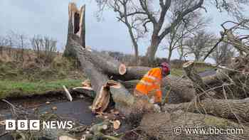 Storm Éowyn clean-up operation gets under way