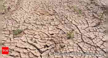 Pakistan drought dents winter harvest