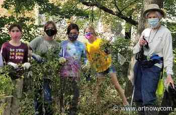 Crackdown on invasive plants at Arlington schools is in the works