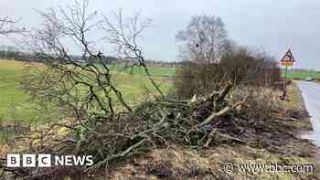 Storm Éowyn: Teenager dies after car hit by falling tree