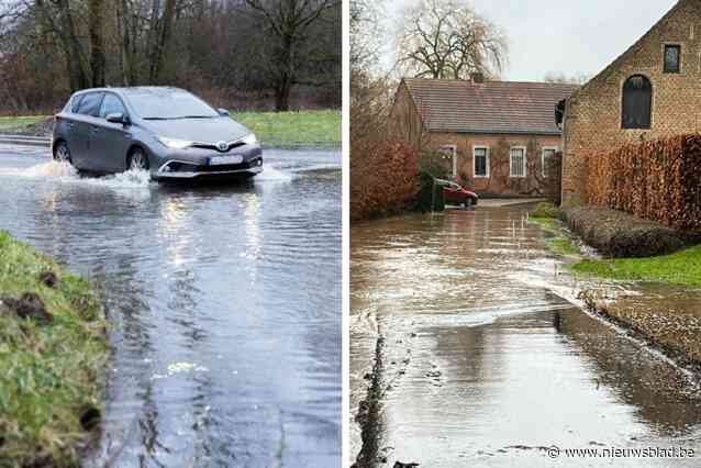 Het peil van enkele rivieren kan nog even stijgen, maar zal hoge waterstand deze week tot overstromingen leiden? “De kritieke fase is voorbij”