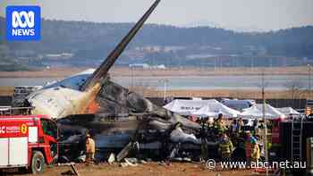 South Korean plane crash report says bird remains were found in engines