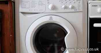 You've been loading washing machines wrong - exactly how much laundry