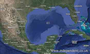 Google Maps to change name of Gulf of Mexico to ‘Gulf of America’ after Trump order