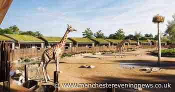 Chester Zoo's first ever safari lodges with views of giraffes opening date confirmed for overnight stays