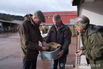 Prince of Wales praises regenerative farm’s ‘fantastic’ composting efforts