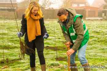 Van Looy ziet nog veel potentieel in woonreservegebieden om extra bos aan te planten