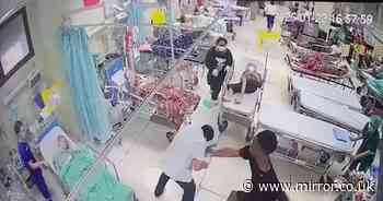 Moment tourist wakes up in hospital and starts punching doctors who saved his life