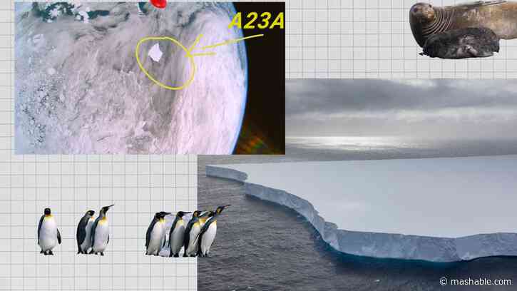 Visible from space, a mega iceberg could be on a collision course