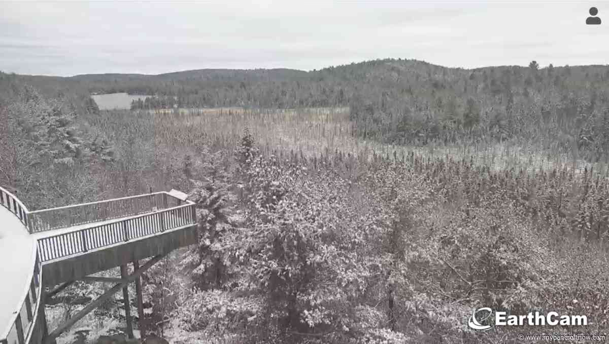 Birds, bogs and moose: Learn about them all in Algonquin Park