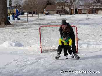 Sarnia looking into policy for ice rinks in city parks