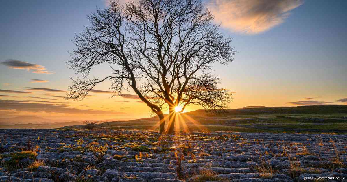 6 great Yorkshire Dales rambles for all the family