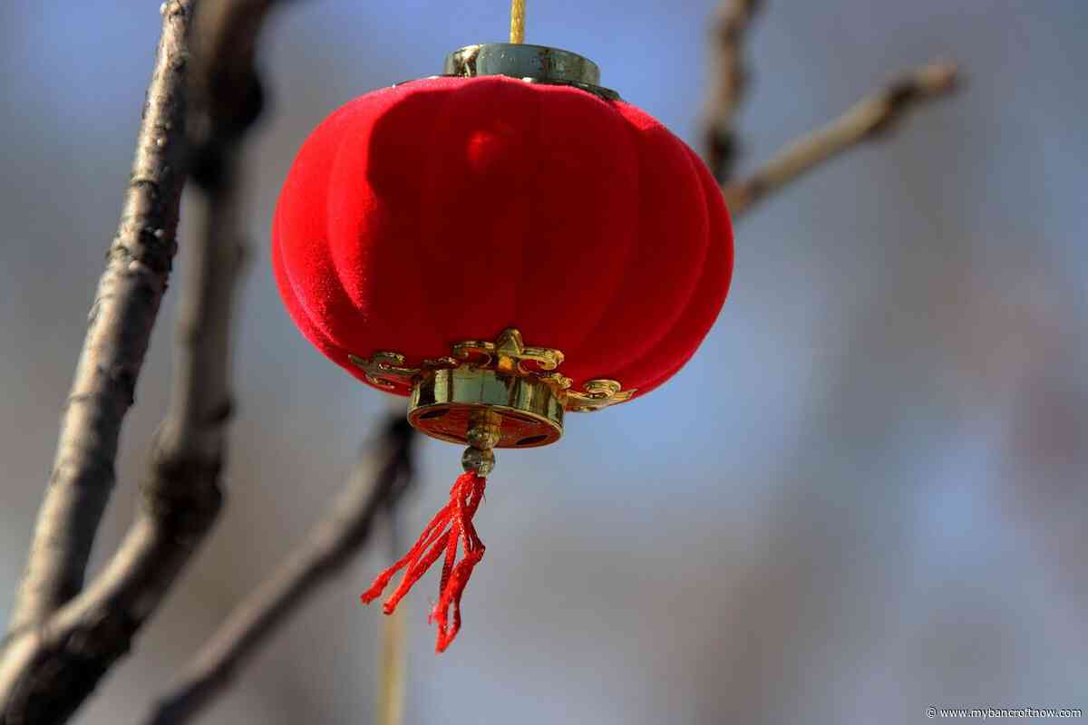 Chinese New Year starts today, celebrate Friday at Barry’s Bay library