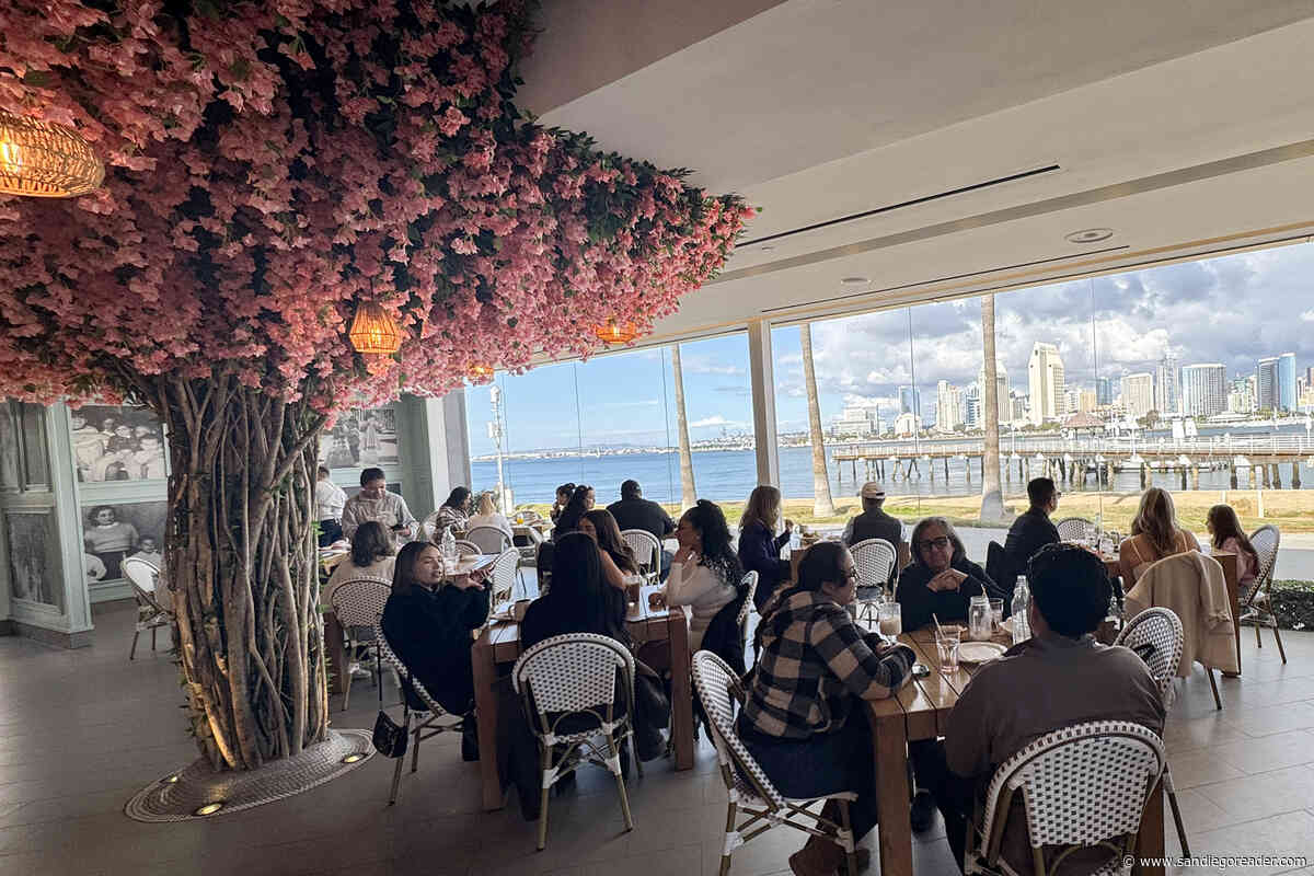 Cocina 35 Brunch: chilaquiles, bougainvillea, and a view