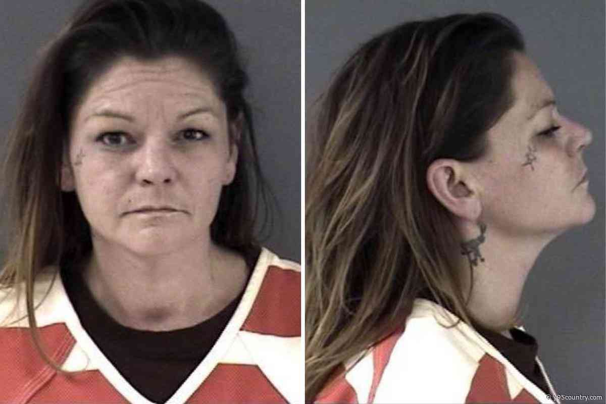 Laramie Woman Charged With Taking Drugs Into Laramie County Jail