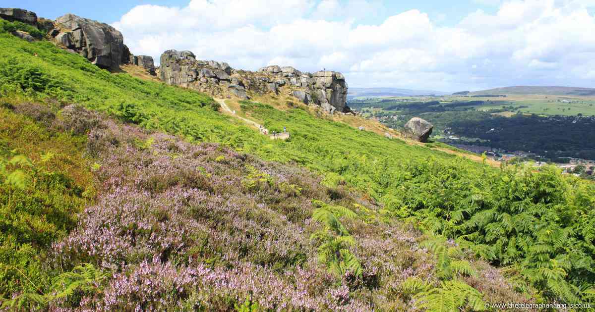 Announcement on new nature reserve for Bradford due next month