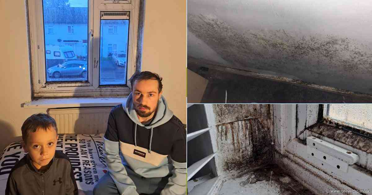 'I'd rather camp outside': Millbrook mum's hell in mouldy home