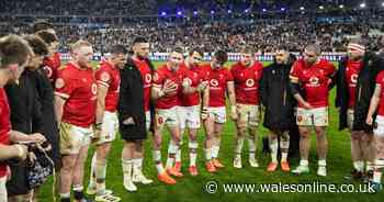 The unseen France v Wales moments as Welsh player overcome in tunnel and team-mate steps in