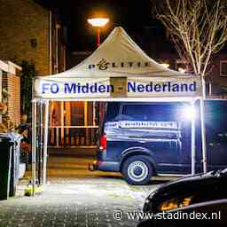 'Heel reëel scenario' dat doodgestoken meisje (11) Nieuwegein verdachte niet kende
