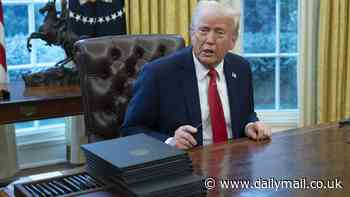 Trump reveals the limit to Elon Musk's increasing power in his new administration