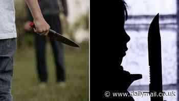Scandal of knife thugs aged just 10 years old as stop-and-search cops catch children with weapons and drugs