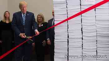 Bold call for Australia to copy the United States with Elon Musk-style red-tape removal role