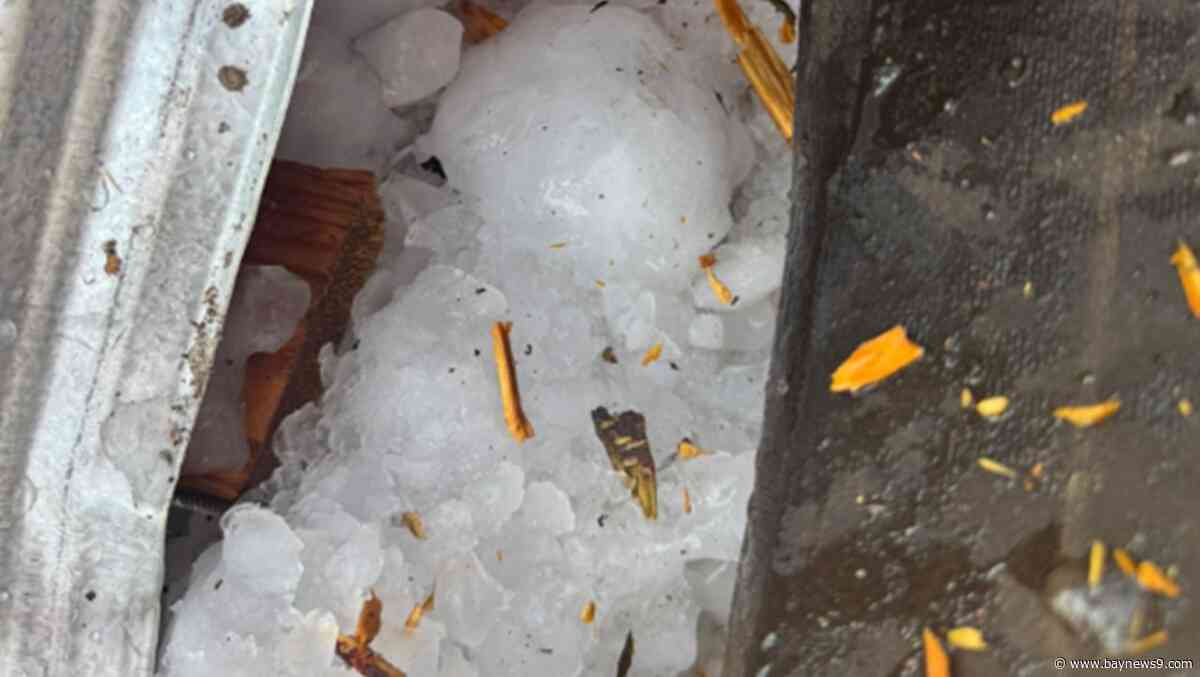 Ice chunk plummets from sky and punches a hole in the roof of Palm Coast home