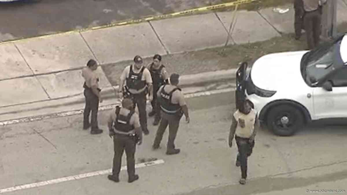 2 men arrested after 1 brandishes gun at vehicle in NW Miami-Dade: MDSO