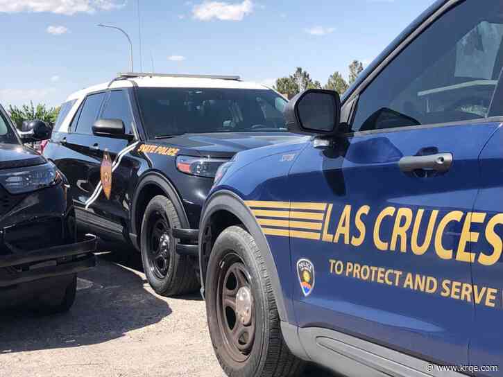 UPDATE: Police investigate fatal stabbing in Las Cruces