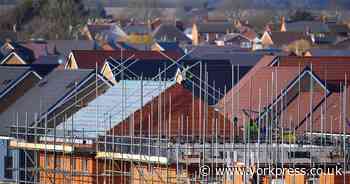 Work on local plan halted after house building target trebles