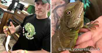 York pet shop owner led police in high speed pursuit on his birthday