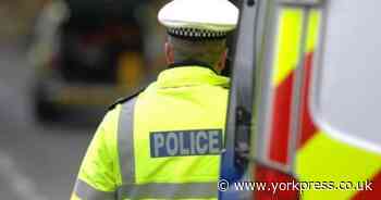 Dog dirt causes 'incident' in North Yorkshire village