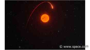 Giant planet or 'failed star?' Newfound mystery world blurs the lines