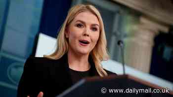 Karoline Leavitt snaps at reporter casting doubt on Trump's Gaza plan