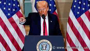 Donald Trump orders review of NGOs to crack down on government spending