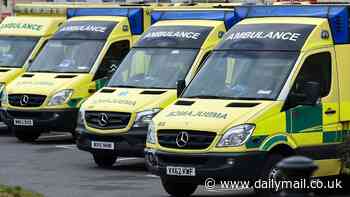 999 delays forcing patients to pay for private ambulances - with bosses of Uber-style app to hail emergency services cashing in on shameful state of the NHS