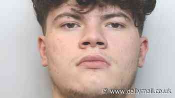 Shameless teenagers admit starting fire that forced hundreds from their homes during far-right riots in Crewe... before one of them gave an interview saying he was devastated by the fire he had secretly helped ignite