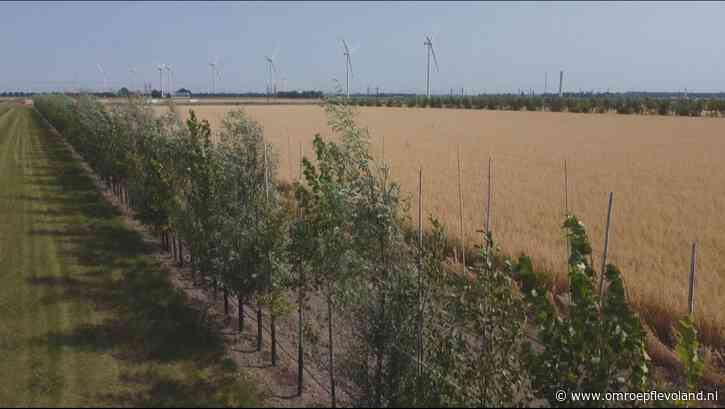 Flevoland - 7,5 miljoen euro subsidie voor natuurvriendelijk boeren in Flevoland