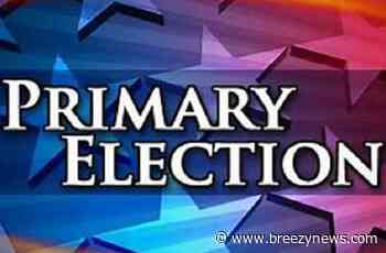 Sample ballot for Kosciusko Democratic Primary