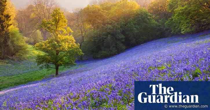 Share a tip on a great spring break in the UK
