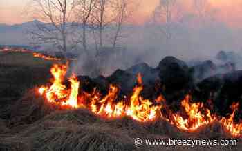 Several Woods/Grass Fires On a Dry Saturday