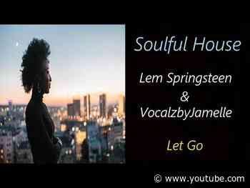 Lem Springsteen and VocalzbyJamelle - Let Go | ♫ RE ♫