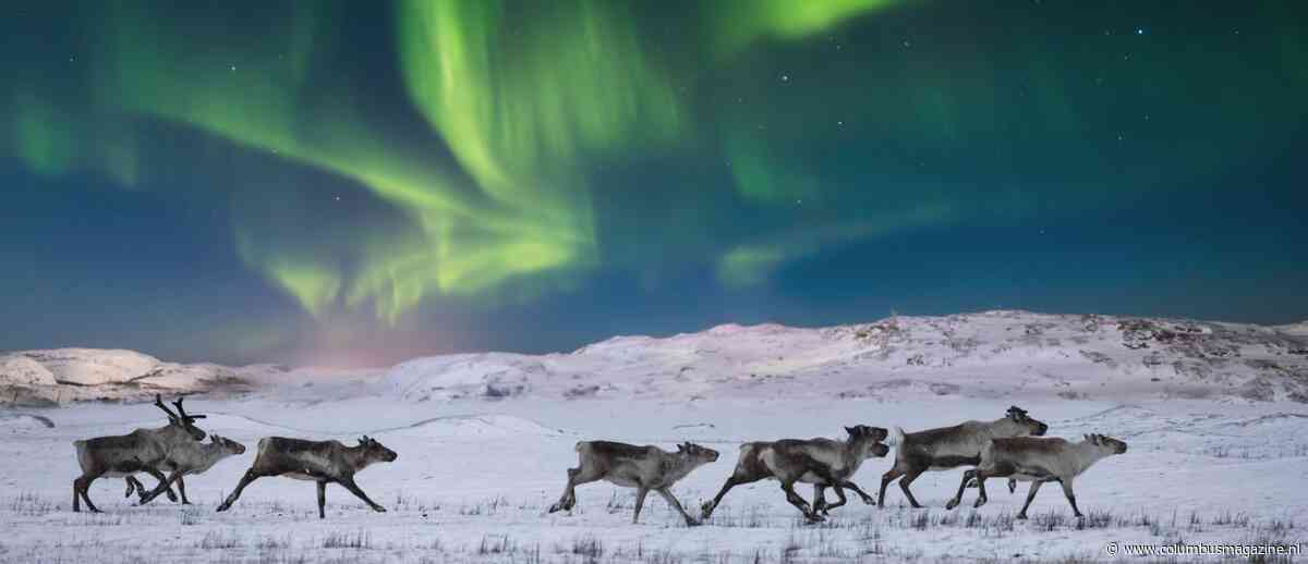 Test je kennis van de meest bijzondere natuurverschijnselen en win twee vliegtickets naar IJsland!