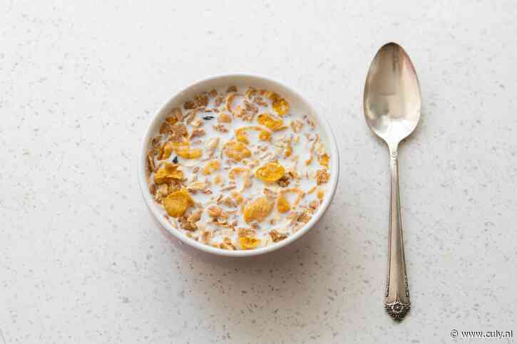 Wat betekent lactosevrij nou precies? (+ onze favoriete producten zonder lactose)